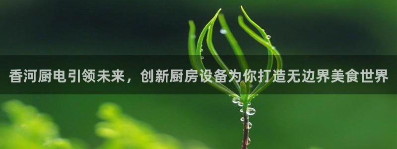 尊龙凯时人生就是搏技术实力