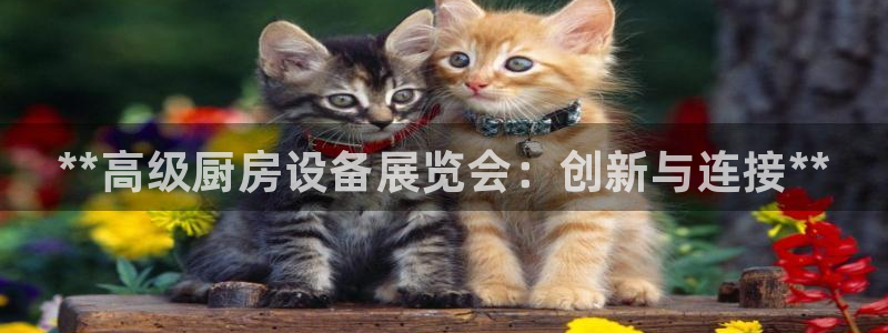 尊龙凯时旗舰厅百家乐下载