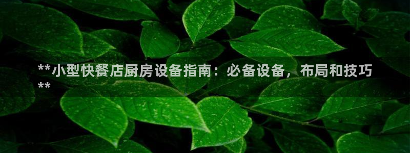 尊龙 ag：**小型快餐