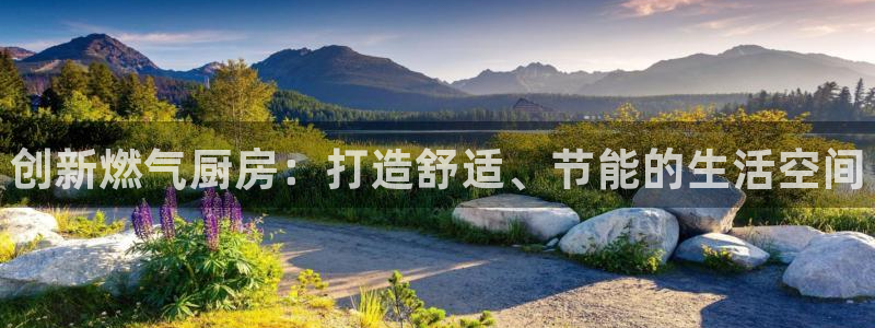 尊龙官网免费下载安卓