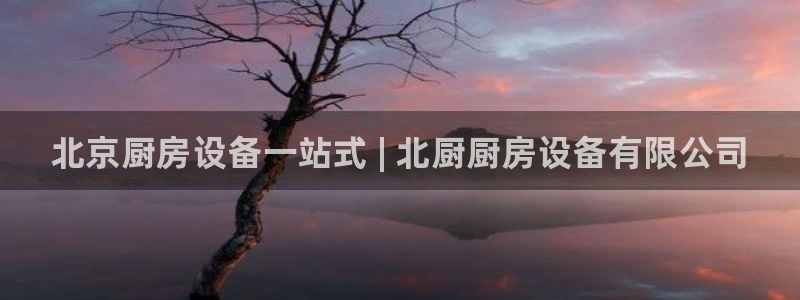 怎样能成为尊龙凯时平台的会员:北京厨房设备一站式 | 北厨厨