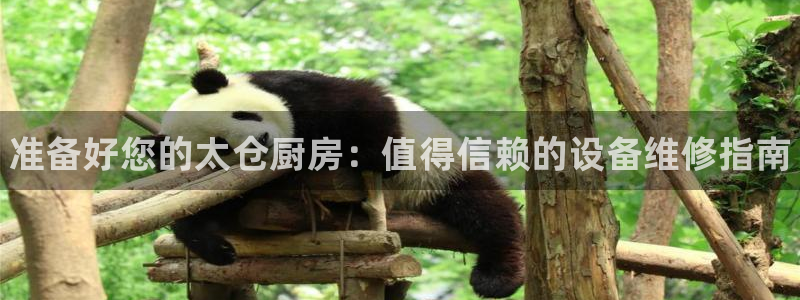 尊龙凯时人生就是博官网登录