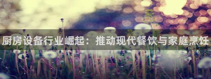 d88尊龙z6：厨房设备