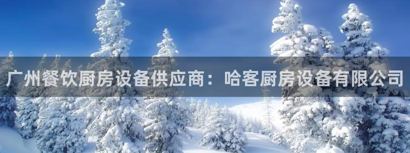 尊龙 下载：广州餐饮厨房