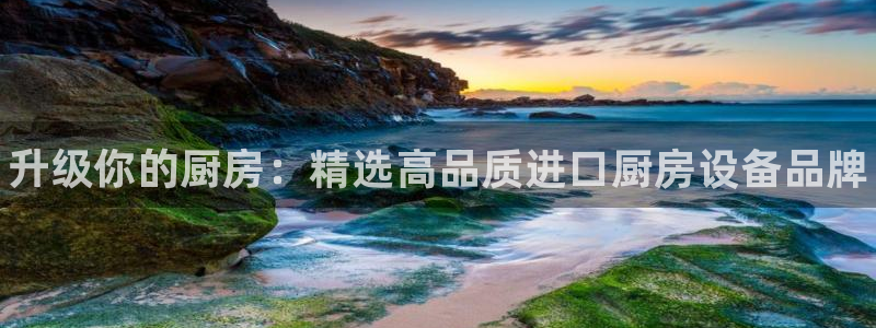 凯时kb88会员登录：升级你的厨房：精选高品质进口厨房设备品