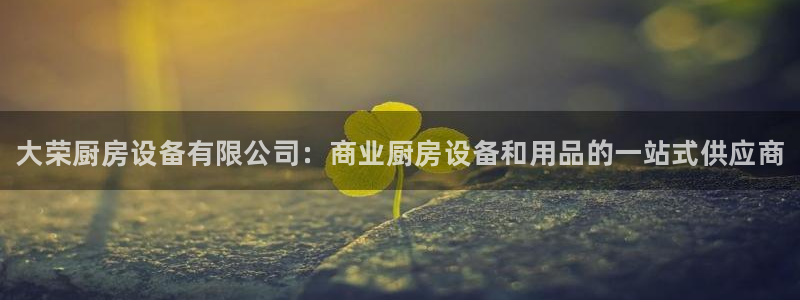 尊龙官方app下载：大荣厨房设备有限公司：商业厨房设备和用品