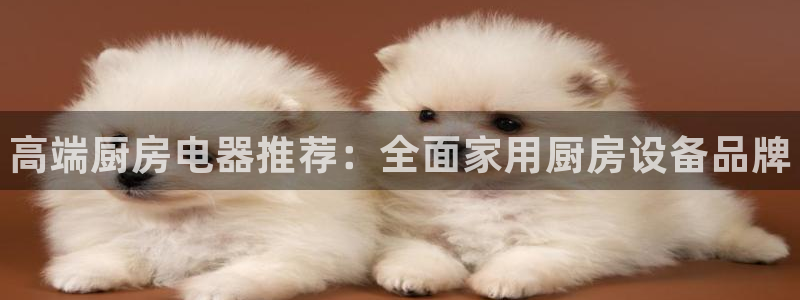 尊龙凯时·中国官方网站